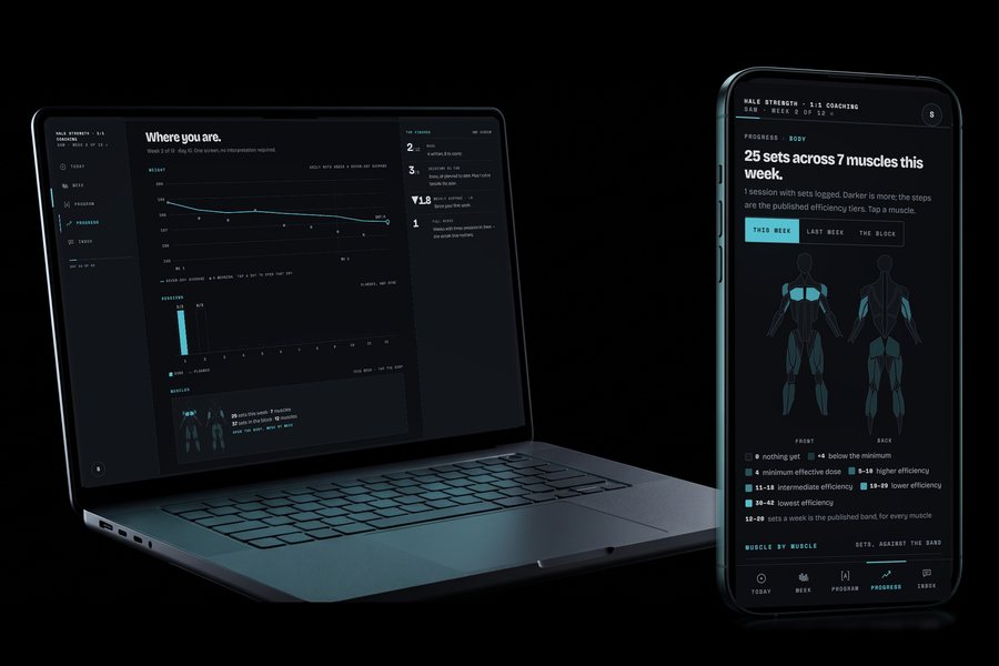 Corner on a laptop showing weight and sessions over the block, and on a phone showing sets per muscle on a body map