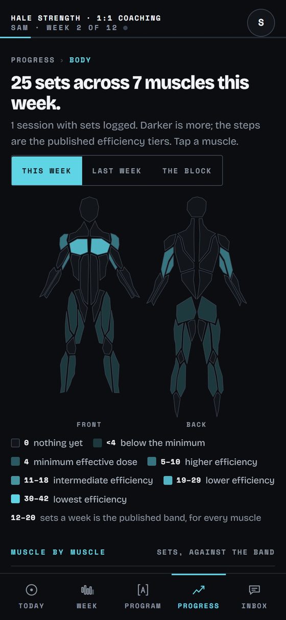 The body map in Corner on a phone: the week's sets per muscle, front and back