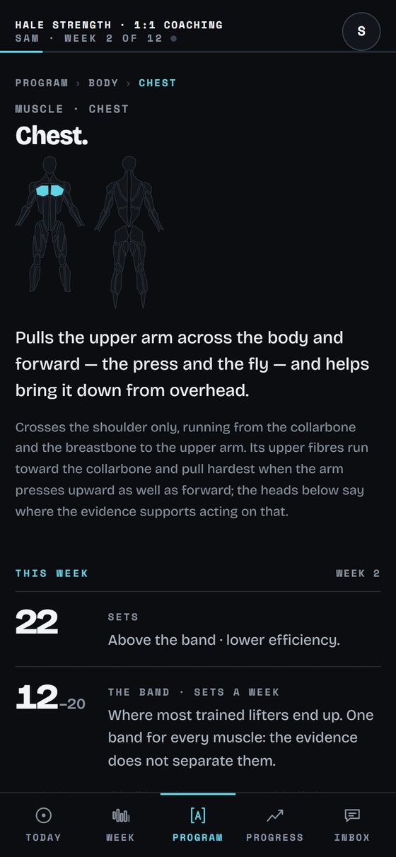 A muscle's page in Corner on a phone: the chest, what it does, and the week's sets against the band